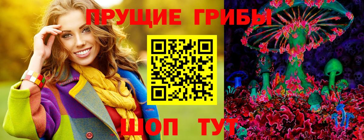 Гай  Псилоцибиновые грибы Magic Shrooms  Вход с VPN 